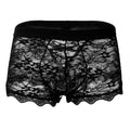 Lace Back Lace Transparent Mesh Low Waist - BBCxMaster - Lace Back Lace Transparent Mesh Low Waist - Black / M - BBCxMaster