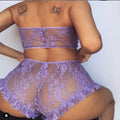 Sexy Lingerie – Multicolor Stretch-Fit - BBCxMaster - Sexy Lingerie – Multicolor Stretch-Fit - Purple / M - BBCxMaster