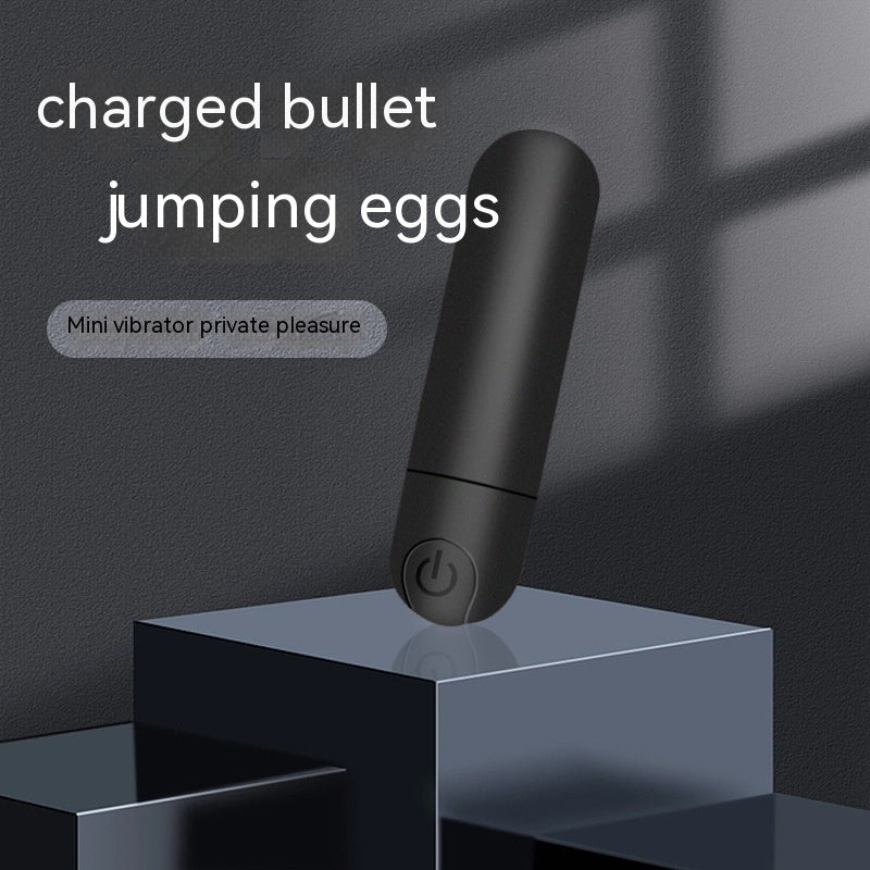 Portable Mini Charging Bullet Shaker - BBCxMaster - Portable Mini Charging Bullet Shaker - BBCxMaster